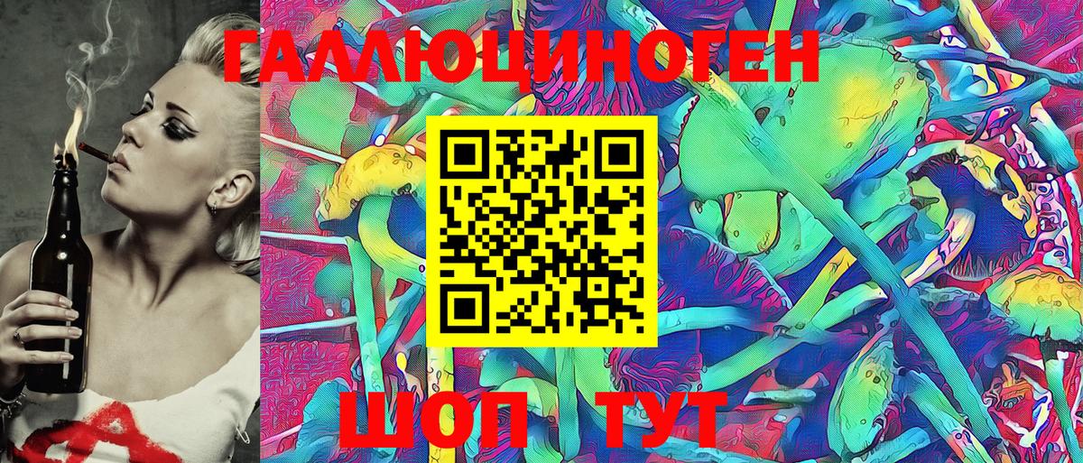 Галлюциногенные грибы Psilocybe  Вход с VPN  Строитель 