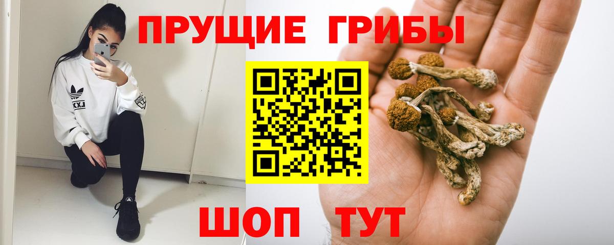 Псилоцибиновые грибы мицелий Строитель
