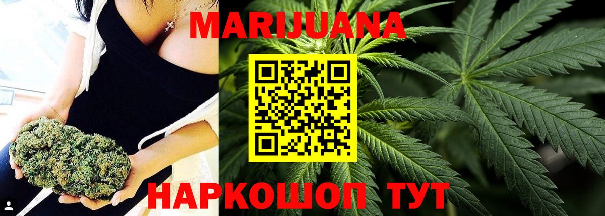 Бошки марихуана планчик  Канабис VHQ  Бошки Шишки план  Вход с VPN  Строитель 
